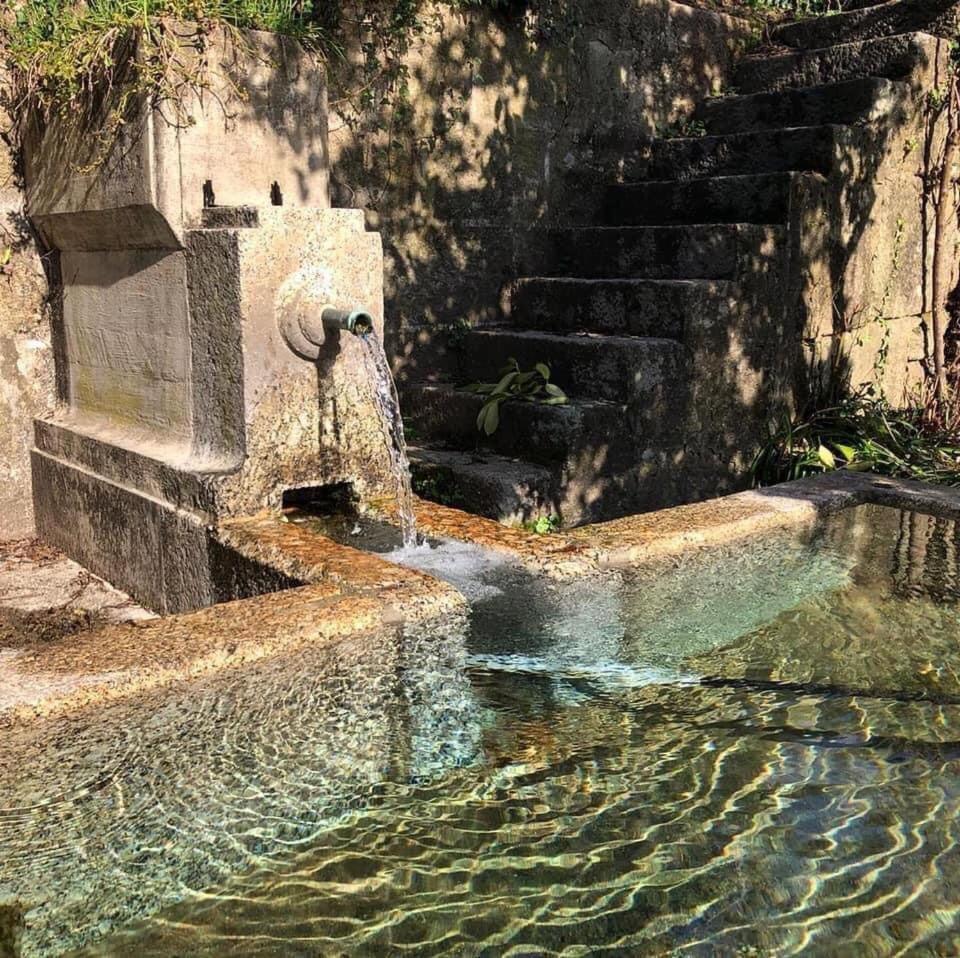 הוילה אמרנטה Quinta Da Chentuada מראה חיצוני תמונה