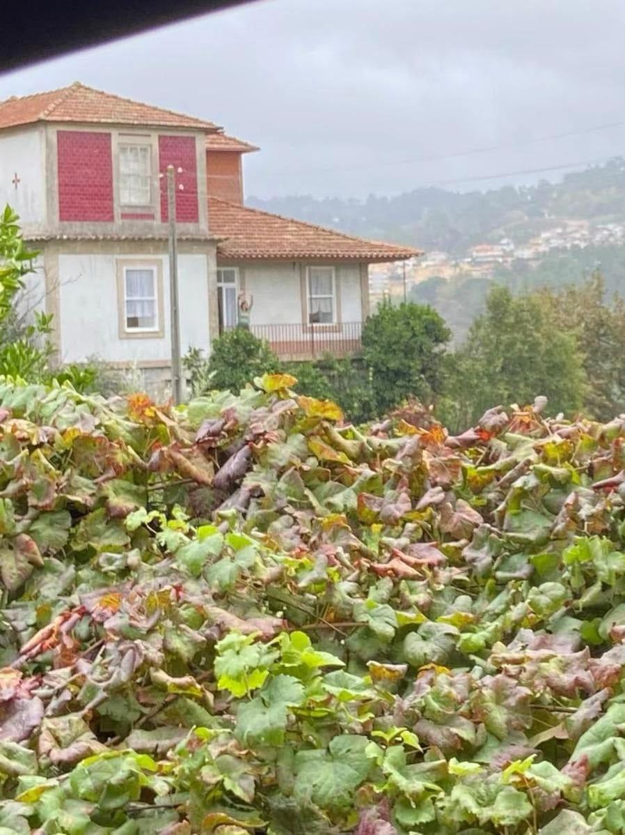 הוילה אמרנטה Quinta Da Chentuada מראה חיצוני תמונה