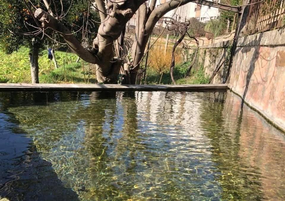 הוילה אמרנטה Quinta Da Chentuada מראה חיצוני תמונה